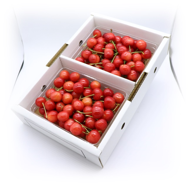 ★先行予約★【令和8年産】食の都庄内　庄内産さくらんぼ「紅秀峰」600gバラ詰め　※令和8年6月下旬～7月上旬頃発送予定 [HS4-257(庄内旬青果)] 「紅秀峰」600gバラ詰め