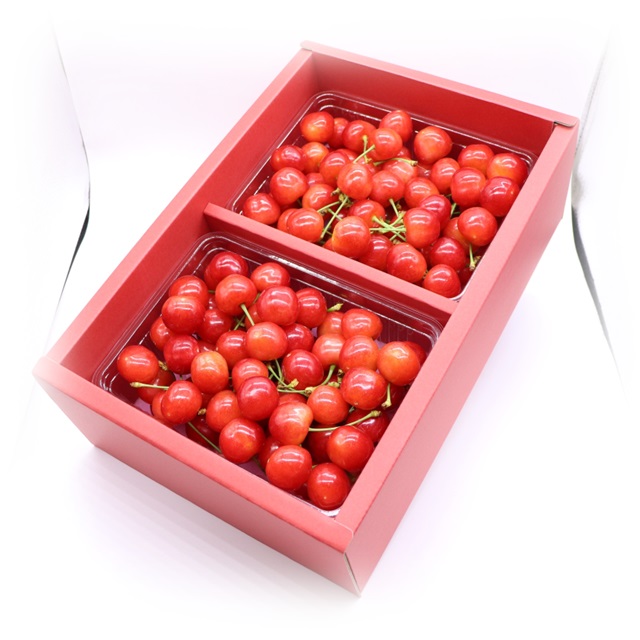 ★先行予約★【令和8年産】食の都庄内　庄内産さくらんぼ「紅秀峰」1kgバラ詰め　※令和8年6月下旬～7月上旬頃発送予定 [HS4-258(庄内旬青果)] 「紅秀峰」1kgバラ詰め