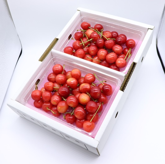 ★先行予約★【令和8年産】食の都庄内　庄内産さくらんぼ「佐藤錦」Lサイズ400gバラ詰め　※令和8年6月中旬～下旬頃発送予定 [HS4-273(庄内旬青果)] 佐藤錦　Lサイズ400g