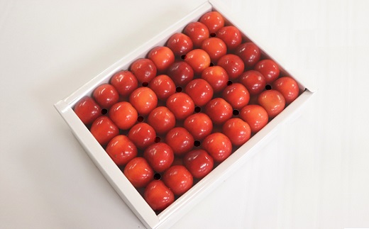 ★先行予約★【令和8年産】食の都庄内　庄内産さくらんぼ「佐藤錦」手詰め約300g　※令和8年6月中旬～下旬頃発送予定 [HS4-240(庄内旬青果)] 佐藤錦　Lサイズ手詰め300g