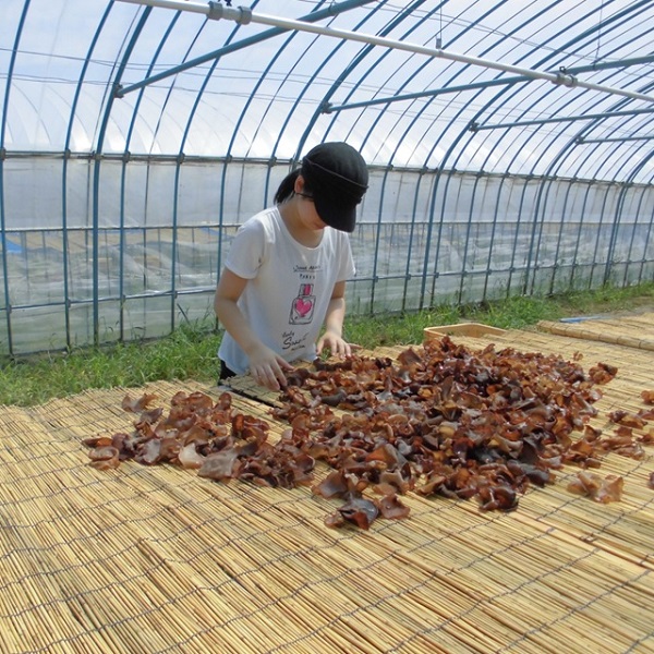 グリーンファーム小野寺の乾燥キクラゲ　80g×2袋(GF小野寺)