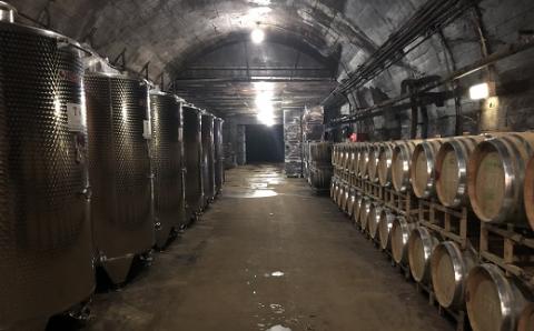 食の都庄内　月山ワイン「豊穣神話」赤・白セット(庄内たがわ農協) 「豊穣神話」赤・白セット