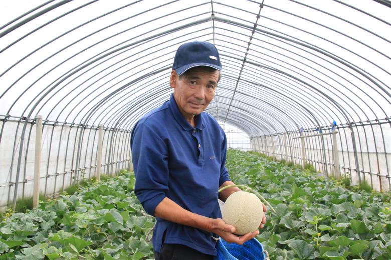 ★先行予約★【令和8年産】成澤さんの厳選！【2玉入】高糖度大玉メロン ※令和8年6月下旬頃より発送開始予定(成澤　秀雄) 【2玉入】高糖度大玉（秀品　5L以上）