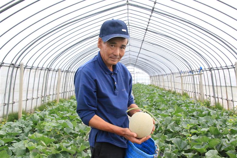 ★先行予約★【令和8年産】成澤さんのアンデスメロン（5kg箱満杯詰め）※青肉メロン　※令和8年6月中下旬頃より発送開始予定(成澤　秀雄) （5kg箱満杯詰め）※青肉メロン