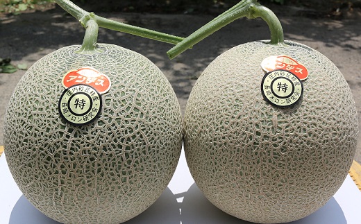 ★先行予約★【令和8年産】成澤さんの厳選！【2玉入】高糖度大玉メロン ※令和8年6月下旬頃より発送開始予定(成澤　秀雄) 【2玉入】高糖度大玉（秀品　5L以上）