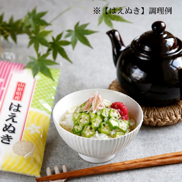 【令和7年産】《無洗米》グリーンファーム小野寺のはえぬき5kg　※10月中旬頃から順次配送予定(GF小野寺) 【玄米】はえぬき10kg