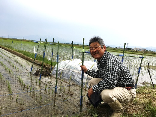【令和7年産・精米】九代目又七の有機ひとめぼれ27kg※9月下旬頃から順次配送(九代目又七) 【令和7年産・精米】27kg