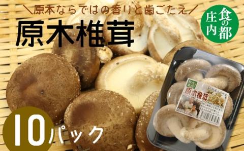 食の都庄内　原木しいたけ（まさに木の子）10パック(庄内旬青果) 10パック