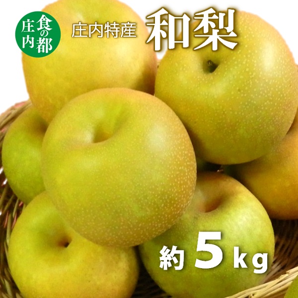 食の都庄内　庄内特産 和梨 約5kg※令和7年8月下旬頃～順次配送(マルショウ青果)