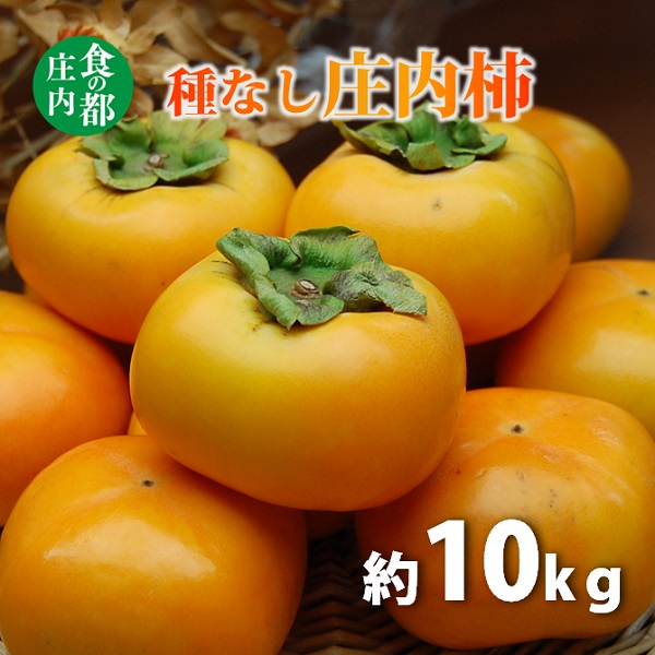 食の都庄内　種なし庄内柿約10kg（約5kg×2箱）　※令和7年10月下旬頃～順次配送(マルショウ青果) 種なし庄内柿約10kg（約5kg×2箱）
