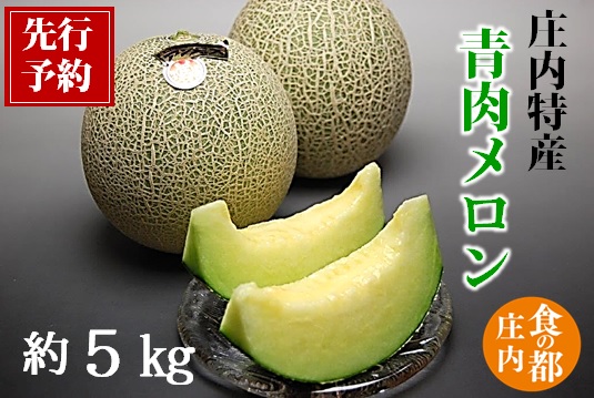 【2026年産 先行予約】食の都庄内 青肉メロン 約5kg　 ※2026年6月下旬頃より発送開始予定 [HM3-010(マルショウ青果)] 青肉メロン 約5kg