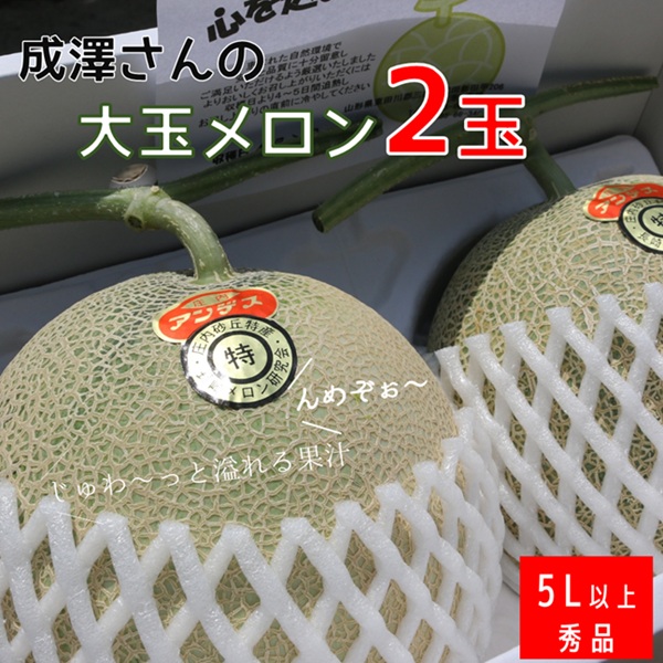 ★先行予約★【令和8年産】成澤さんの厳選！【2玉入】高糖度大玉メロン ※令和8年6月下旬頃より発送開始予定(成澤　秀雄) 【2玉入】高糖度大玉（秀品　5L以上）