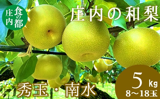 食の都庄内　庄内の和梨【秀玉or南水】約5kg※9月中旬ごろより順次配送(庄内旬青果) 【秀玉or南水】約5kg