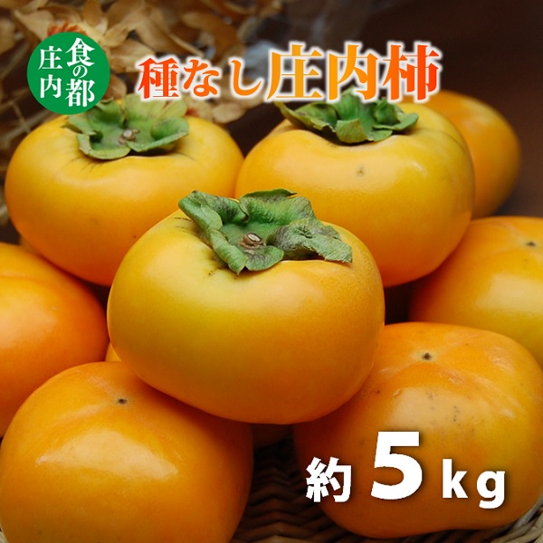 食の都庄内　種なし庄内柿約5kg　※令和7年10月下旬頃～順次配送(マルショウ青果) 種なし庄内柿約5kg