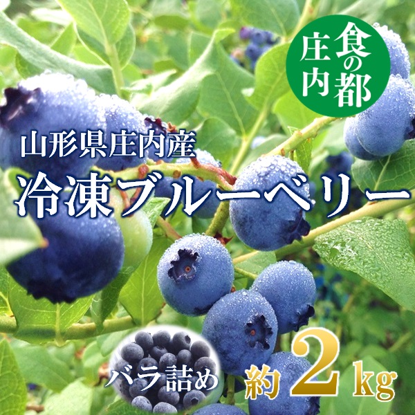 食の都庄内【令和7年産】庄内産冷凍ブルーベリー（バラ詰め約2kg）※令和7年8月頃より順次配送予定(庄内たがわ農協)
