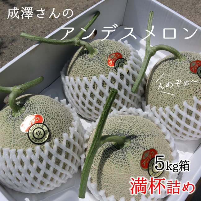 ★先行予約★【令和8年産】成澤さんのアンデスメロン（5kg箱満杯詰め）※青肉メロン　※令和8年6月中下旬頃より発送開始予定(成澤　秀雄) （5kg箱満杯詰め）※青肉メロン