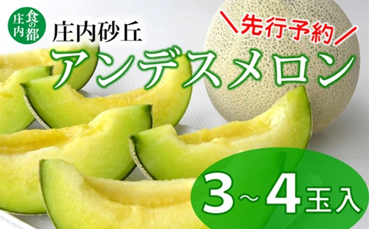 【2026年産 先行予約】食の都庄内　プロの技！庄内砂丘アンデスメロン　※2026年7月上旬頃より発送開始予定 [HS2-017(産直みかわ)]	 アンデスメロン（青肉）（1箱3～4玉入り）