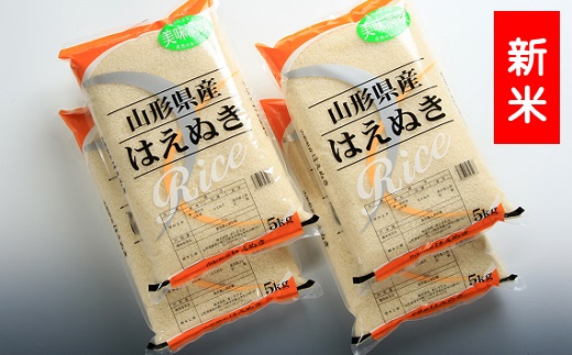 【令和7年産・精米】はえぬき20kg（5kg×4袋） [HM1-005(まいすたぁ)]