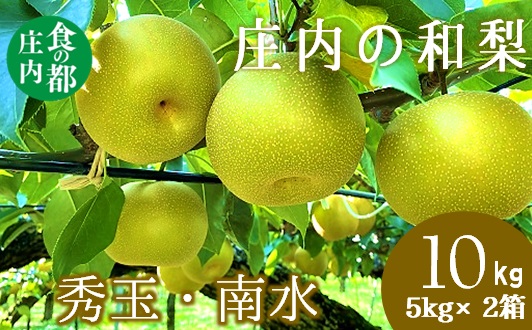 食の都庄内　庄内の和梨【秀玉or南水】約10kg※9月中旬ごろより順次配送(庄内旬青果) 【秀玉or南水】約10kg