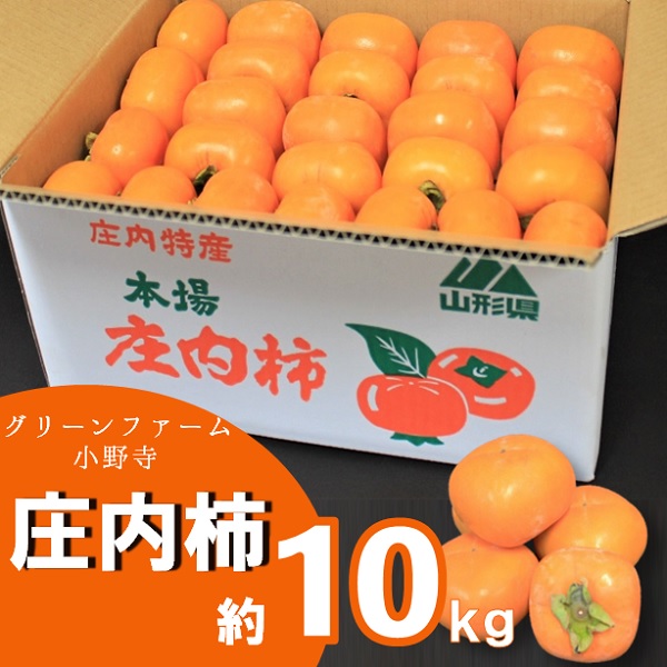 グリーンファーム小野寺の庄内柿1箱約10kg ※11月中旬頃から順次配送予定(GF小野寺)