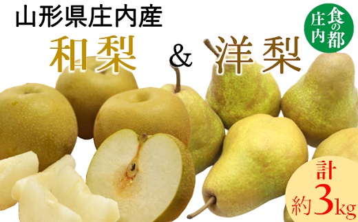 食の都庄内　庄内の和梨＆洋梨　約3kg※9月中下旬～10月上旬発送(庄内旬青果) 和梨＆洋梨　約3kg