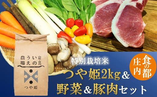 食の都庄内　【精米】特別栽培米雪若丸2㎏＆野菜＆豚肉セット [NY2-136(産直出前便)]