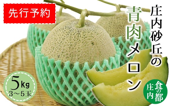 ★先行予約★【令和8年産】食の都庄内　庄内の青肉メロン5kg（3～5玉）　※令和8年6月中下旬～8月上旬頃まで [HS4-233(庄内旬青果)] 青肉メロン5kg