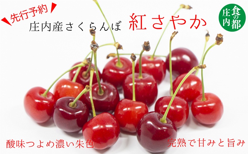 ★先行予約★【令和8年産】食の都庄内　庄内産さくらんぼ「紅さやか」800gバラ詰め　※令和8年6月上旬～中旬頃発送予定 [HS4-003(庄内旬青果)] 800g