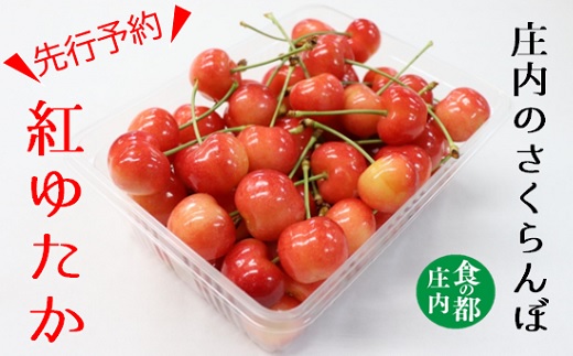 ★先行予約★【令和8年産】食の都庄内　庄内産さくらんぼ「紅ゆたか」800gバラ詰め　※令和8年6月上旬～中旬頃発送予定 [HS4-004(庄内旬青果)]