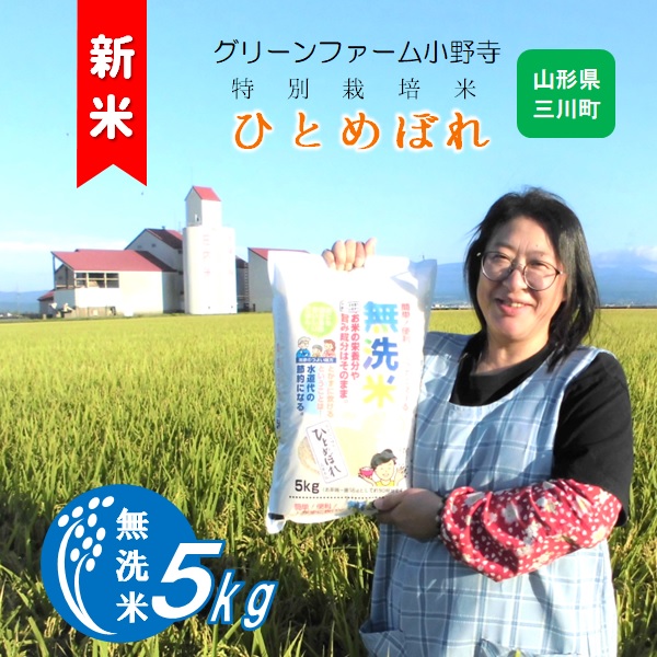 【令和7年産】《無洗米》グリーンファーム小野寺のひとめぼれ5kg　※10月中旬頃から順次配送予定(GF小野寺) 《無洗米》ひとめぼれ5kg