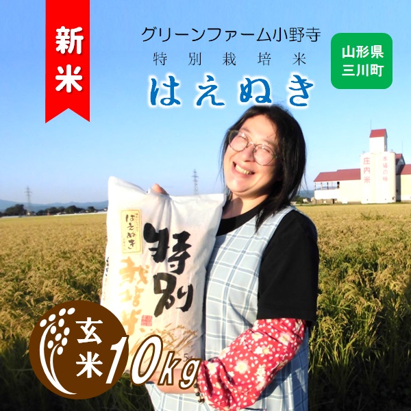 【令和7年産・玄米】グリーンファーム小野寺の特別栽培米はえぬき10kg　※10月中旬頃から順次配送予定(GF小野寺) 【玄米】はえぬき10kg