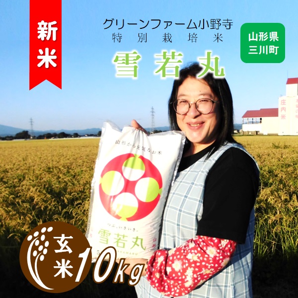 【令和7年産・玄米】グリーンファーム小野寺の特別栽培米雪若丸10kg　※10月中旬頃から順次配送予定(GF小野寺) 【玄米】雪若丸10kg