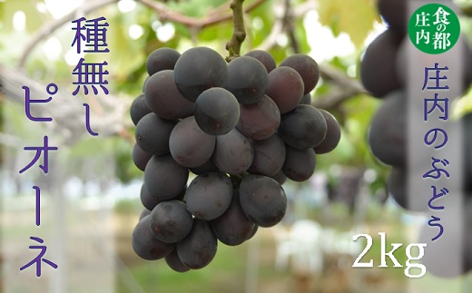 食の都庄内　庄内のぶどう【種無しピオーネ】約2kg※9月下旬～10月中旬配送(庄内旬青果) 【種無しピオーネ】約2kg