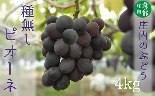 食の都庄内　庄内のぶどう【種無しピオーネ】約4kg※9月下旬～10月中旬配送(庄内旬青果) 【種無しピオーネ】約4kg