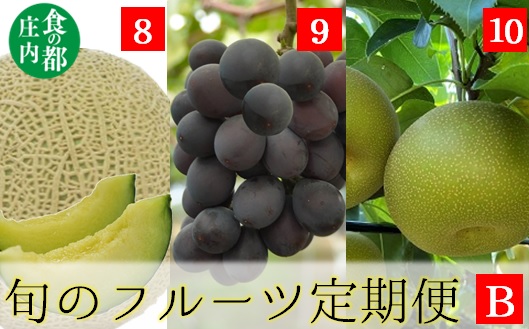 食の都庄内【令和7年産】《8・9・10月お届け-B》旬のフルーツの3ヶ月定期便(庄内旬青果) 《8・9・10月お届け-B》