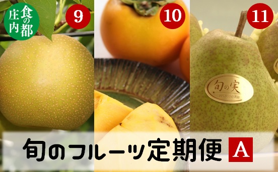 食の都庄内【令和7年産】《9・10・11月お届け-A》旬のフルーツの3ヶ月定期便(庄内旬青果) 《9・10・11月お届け-A》
