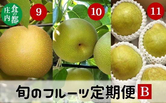 食の都庄内【令和7年産】《9・10・11月お届け-B》旬のフルーツの3ヶ月定期便(庄内旬青果) 《9・10・11月お届け-B》