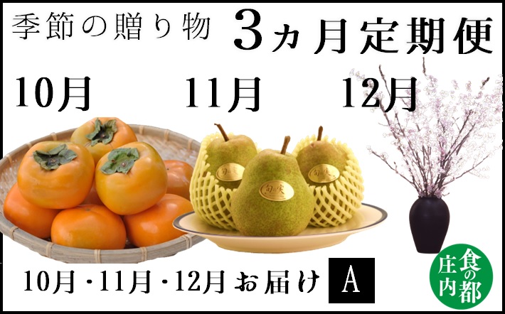 食の都庄内【令和7年産】《10・11・12月お届け-A》季節の贈り物-3ヶ月定期便(庄内旬青果) 《10・11・12月お届け-A》