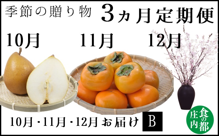 食の都庄内【令和7年産】《10・11・12月お届け-B》季節の贈り物-3ヶ月定期便(庄内旬青果) 《10・11・12月お届け-B》