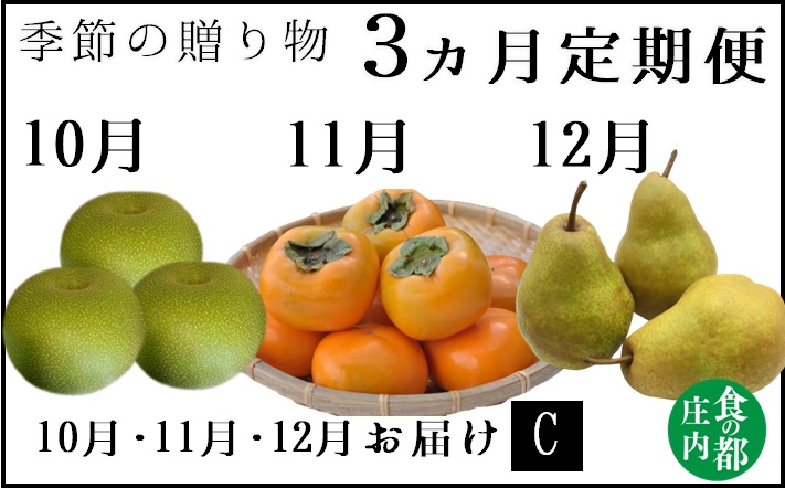 食の都庄内【令和7年産】《10・11・12月お届け-C》旬のフルーツ3ヶ月定期便(庄内旬青果) 《10・11・12月お届け-C》