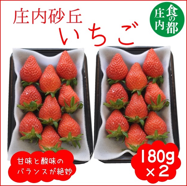 食の都庄内　庄内砂丘のいちご2パック（2L～L）やや小粒も含む※1月中旬頃～順次配送(庄内旬青果) 180g×2パック(やや小粒も含む)