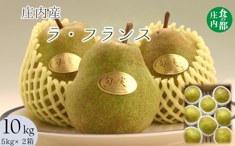 食の都庄内　庄内の洋梨「ラ・フランス」約10kg　※11月上旬～発送(庄内旬青果) 約10kg（5kg×2箱）