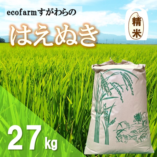 【令和7年産・精米】ecofarmすがわらの庄内米ひとめぼれ27kg [PS5-018(ecofarmすがわら)] 【精米】ひとめぼれ　27kg