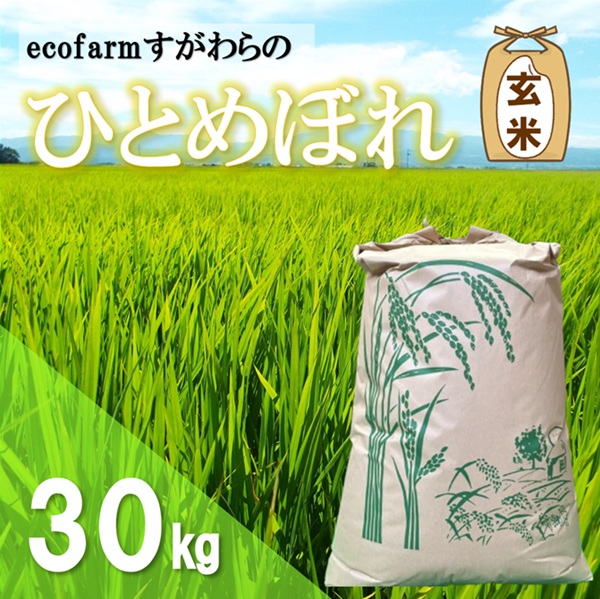【令和7年産・玄米】ecofarmすがわらの庄内米ひとめぼれ30kg [PS5-018(ecofarmすがわら)] 【玄米】ひとめぼれ　30kg