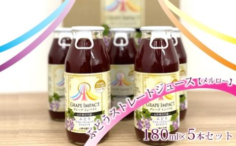 小野寺農園の無添加ぶどうジュース[メルロー]グレープインパクト180ml×5本セット