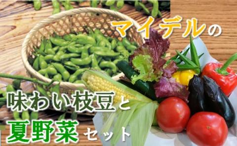 道の駅マイデルの味わい枝豆と夏野菜セット
