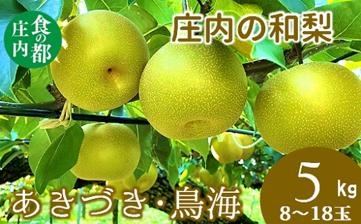 食の都庄内 庄内の和梨[あきづき・鳥海]約5kg※9月中旬ごろより順次配送