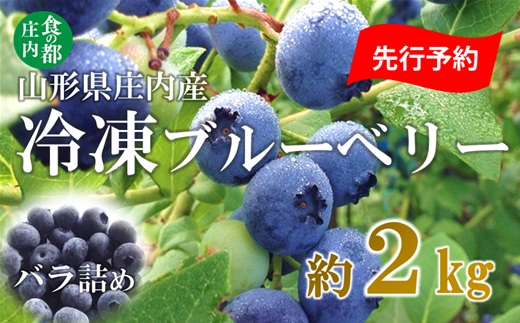 【2026年産 先行予約】食の都庄内 庄内産冷凍ブルーベリー（バラ詰め約2kg）※2026年8月頃より発送開始予定