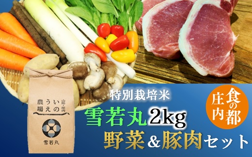 食の都庄内 [精米]特別栽培米雪若丸2kg&野菜&豚肉セット [NY2-136(産直出前便)]