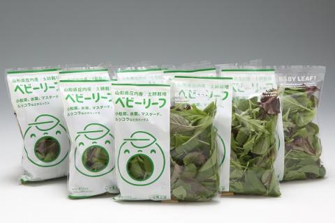 庄内産ベビーリーフミックス　40g×8袋